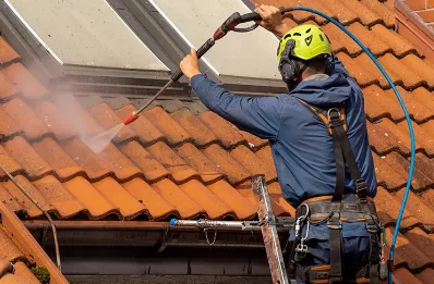 Démoussage et hydrofuge de toiture à Brethenay